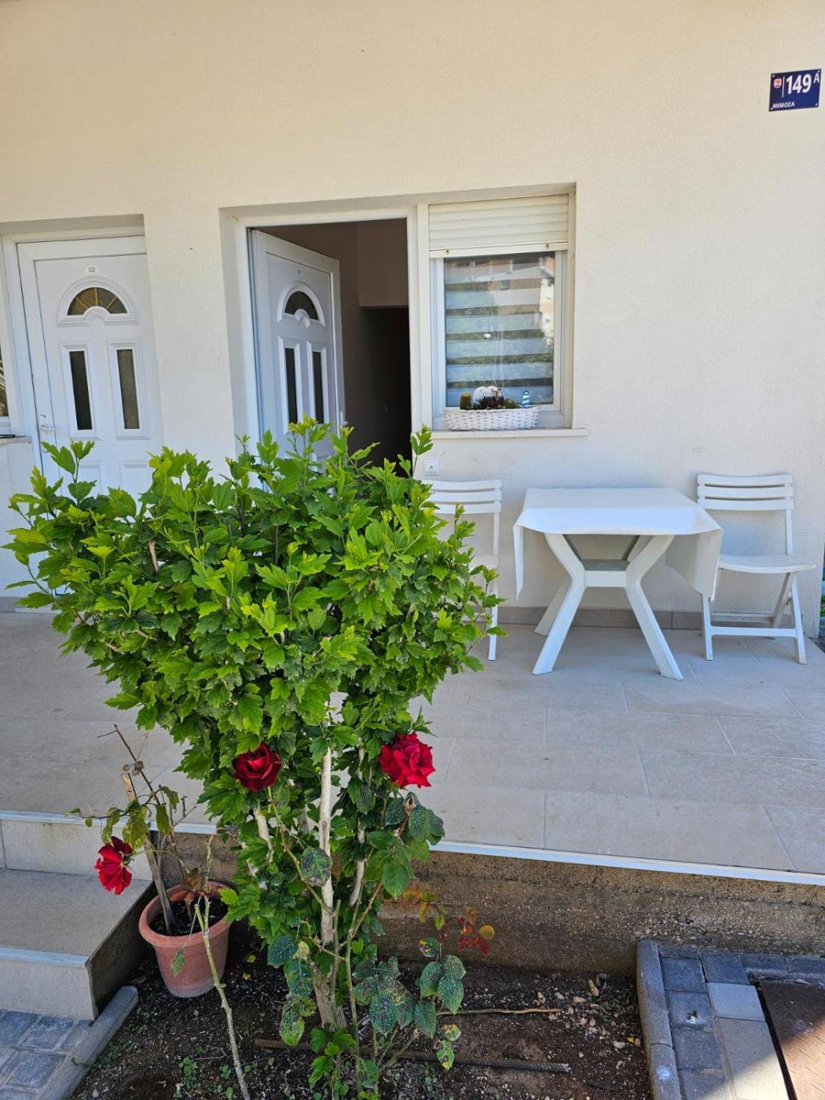 Apartmani Butigan-Tiha Luka ネウム エクステリア 写真